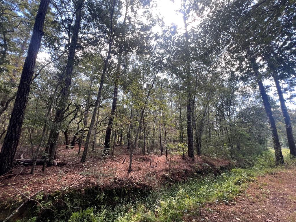 Lots 1-34 EAST Street, Slidell, LA 70461