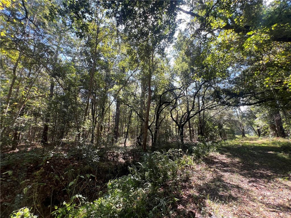 Lots 1-34 EAST Street, Slidell, LA 70461