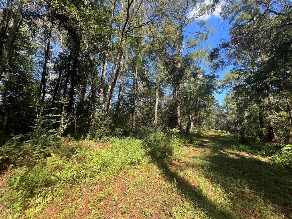 Lots 1-34 EAST Street, Slidell, LA 70461