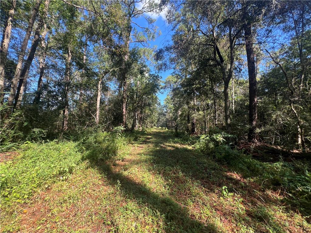 Lots 1-34 EAST Street, Slidell, LA 70461