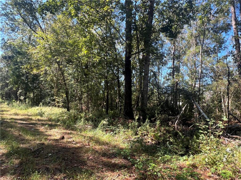 Lots 1-34 EAST Street, Slidell, LA 70461