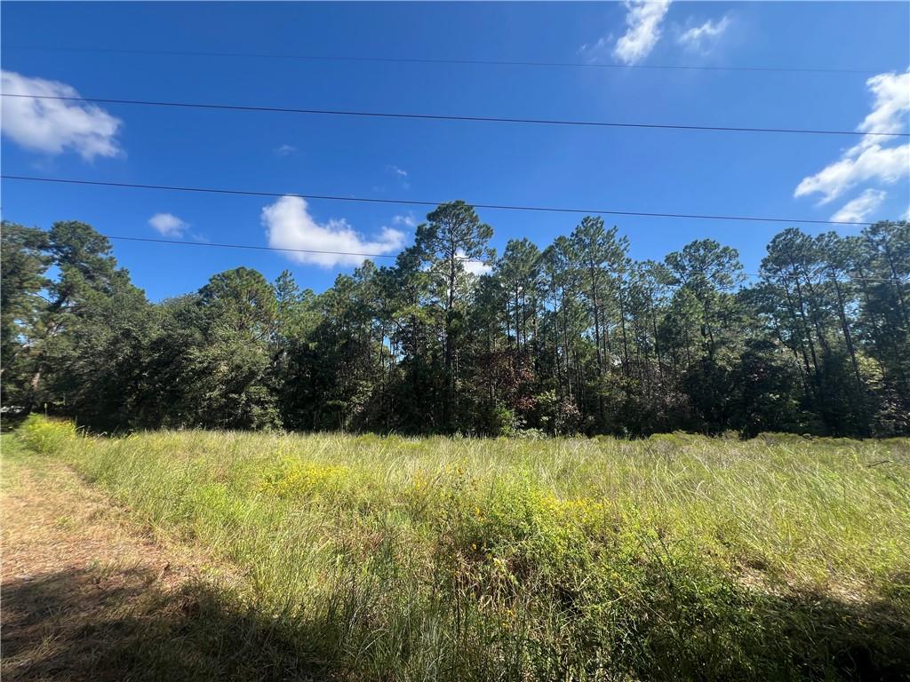 Lots 1-34 EAST Street, Slidell, LA 70461