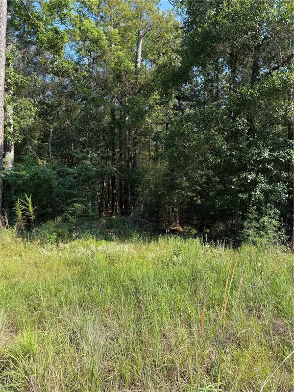 TBD HWY 190 Highway, Covington, LA 70433