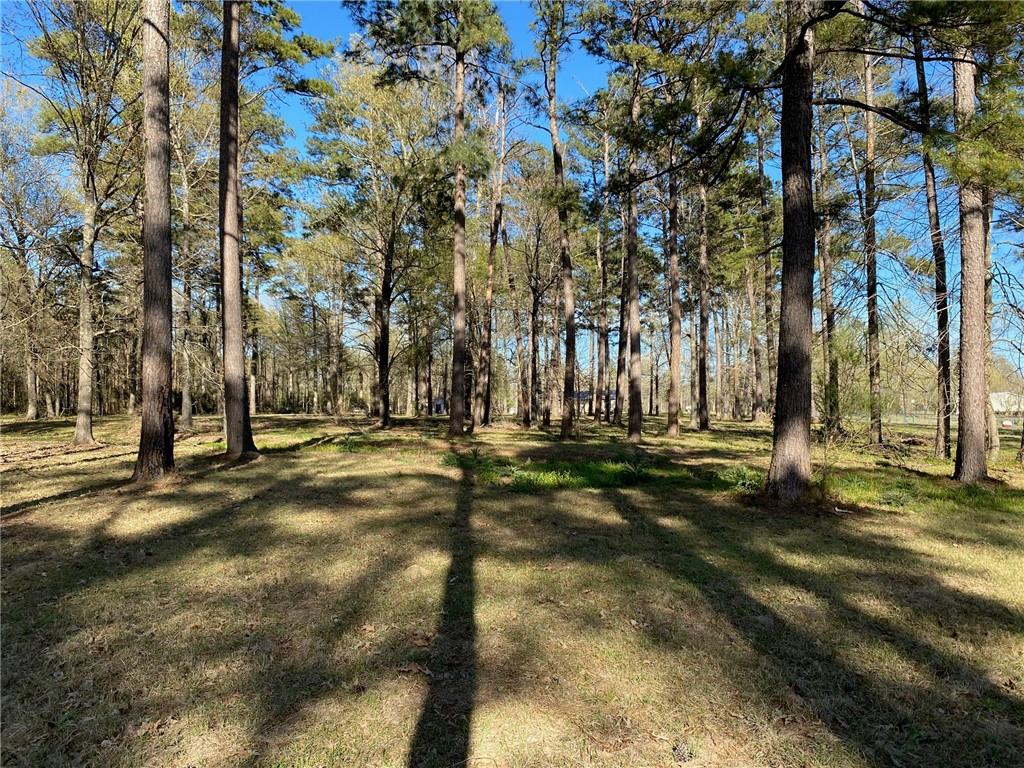 LOT 3 LOU ANN Drive, Colfax, LA 71417