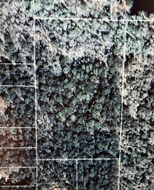 HIGHWAY 1085 Highway, Madisonville, LA 70447