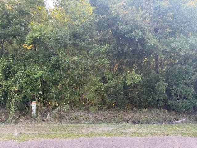 JOE Road, Lacombe, LA 70445