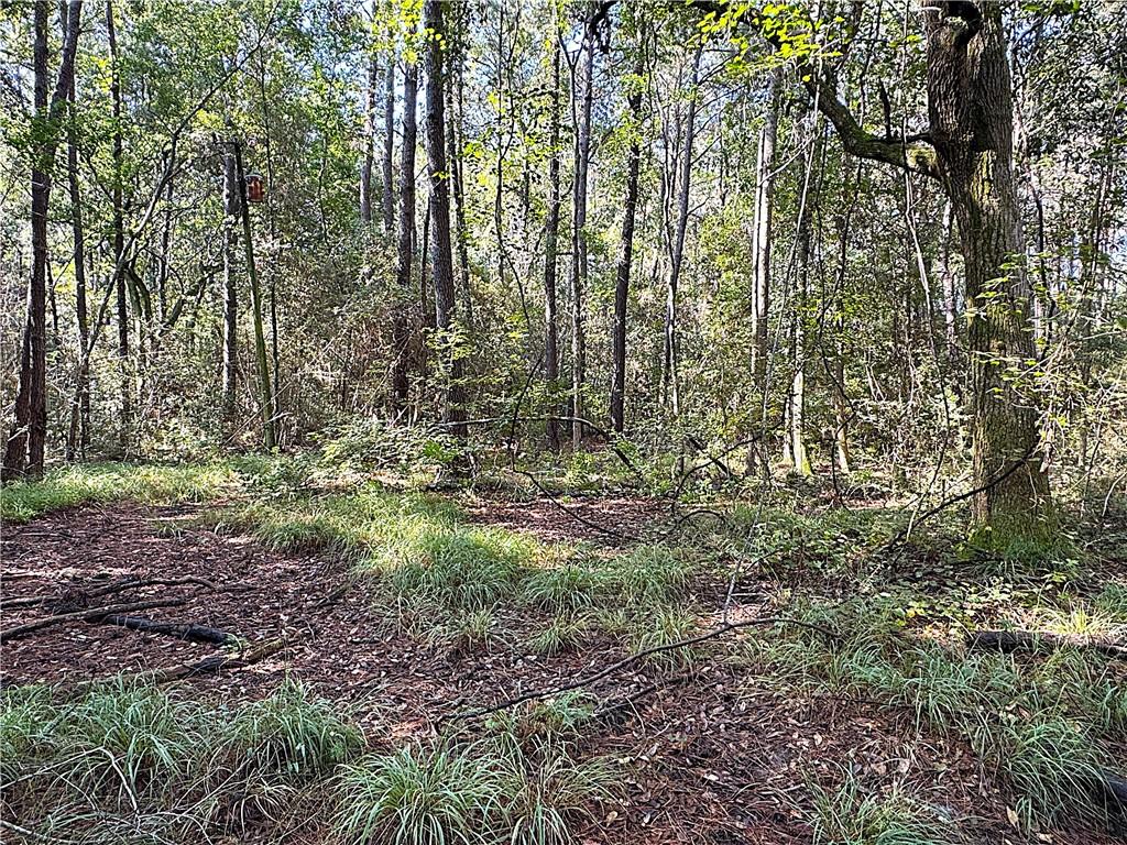 Lot A DOVE PARK Road, Covington, LA 70433