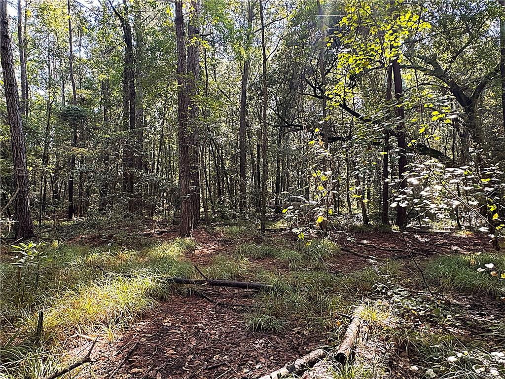 Lot A DOVE PARK Road, Covington, LA 70433
