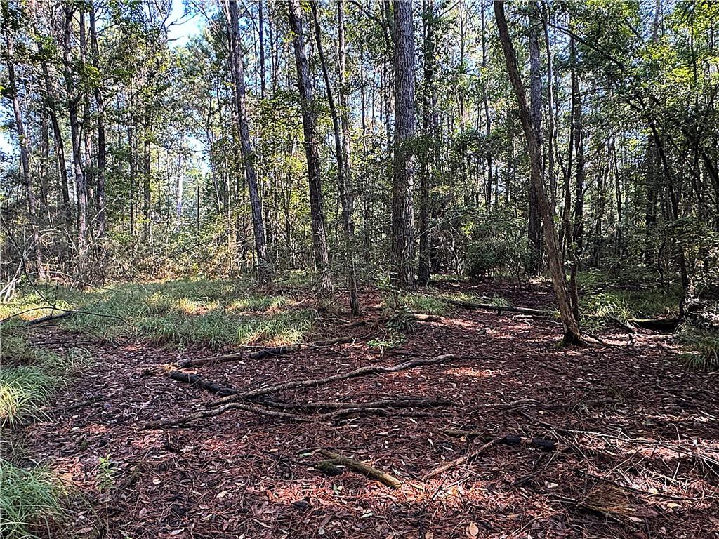 540 DOVE PARK Road, Covington, LA 70433