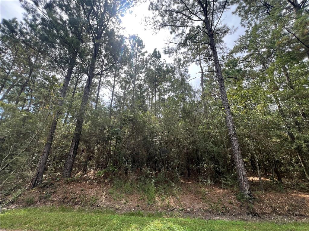 TAMPA Circle, Pearlington, MS 39572