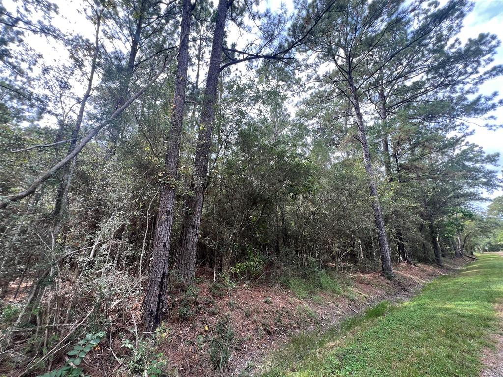 TAMPA Circle, Pearlington, MS 39572