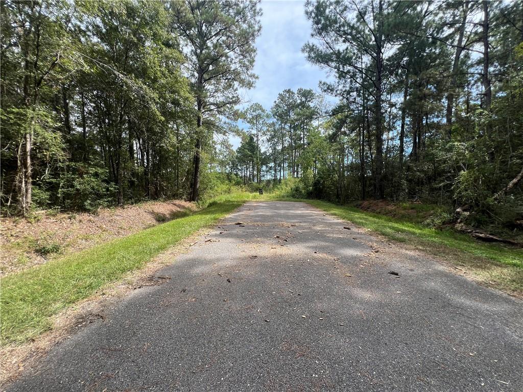 TAMPA Circle, Pearlington, MS 39572