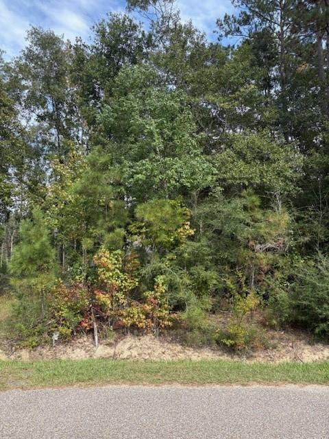 64400 JOSEPHINE Street, Pearl River, LA 70452