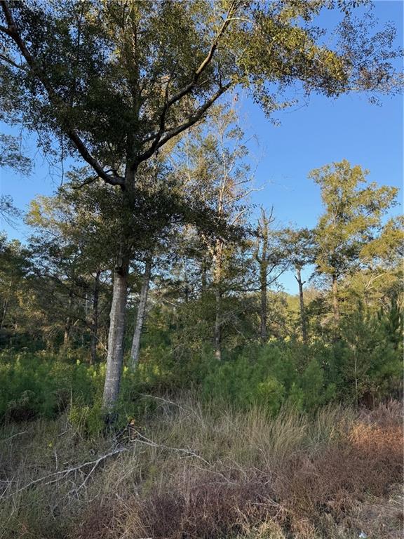 TBD HWY 442 AND HWY 1065, Tickfaw, LA 70466