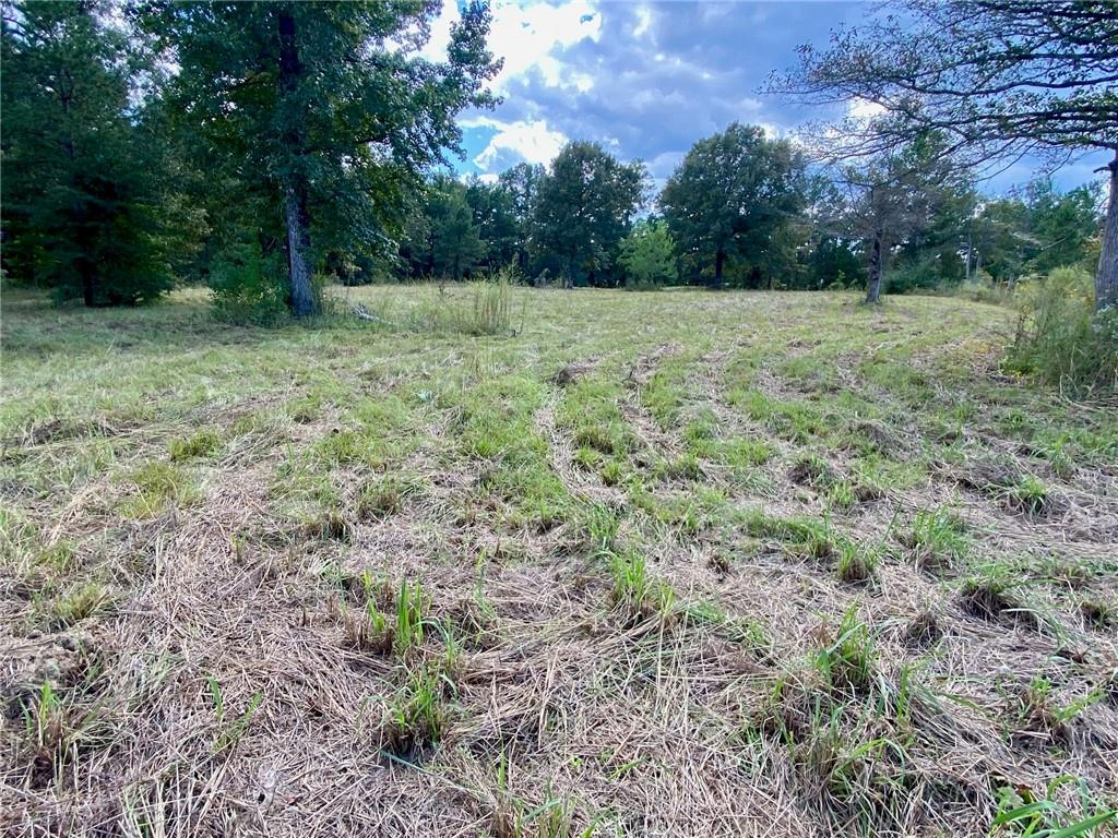 9131 HIGHWAY 1 Highway, Lena, LA 71447