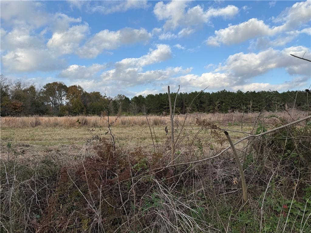 0 DEWEY BERNARD Road, Mansura, LA 71350