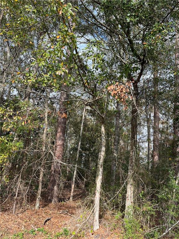 0 GENERAL PERSHING Street, Mandeville, LA 70448