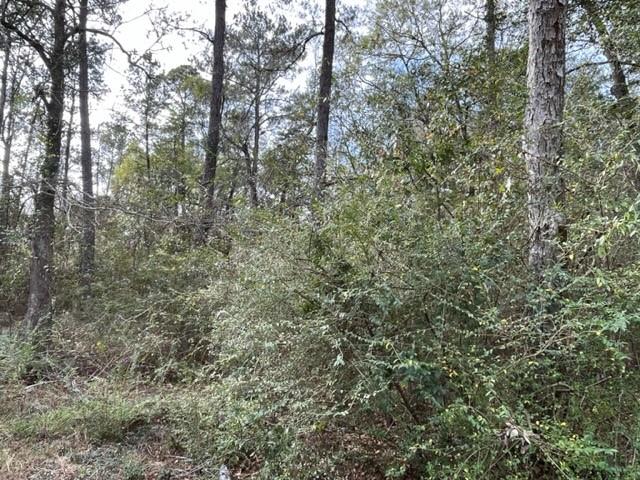 000 MONITOR Drive, Slidell, LA 70460