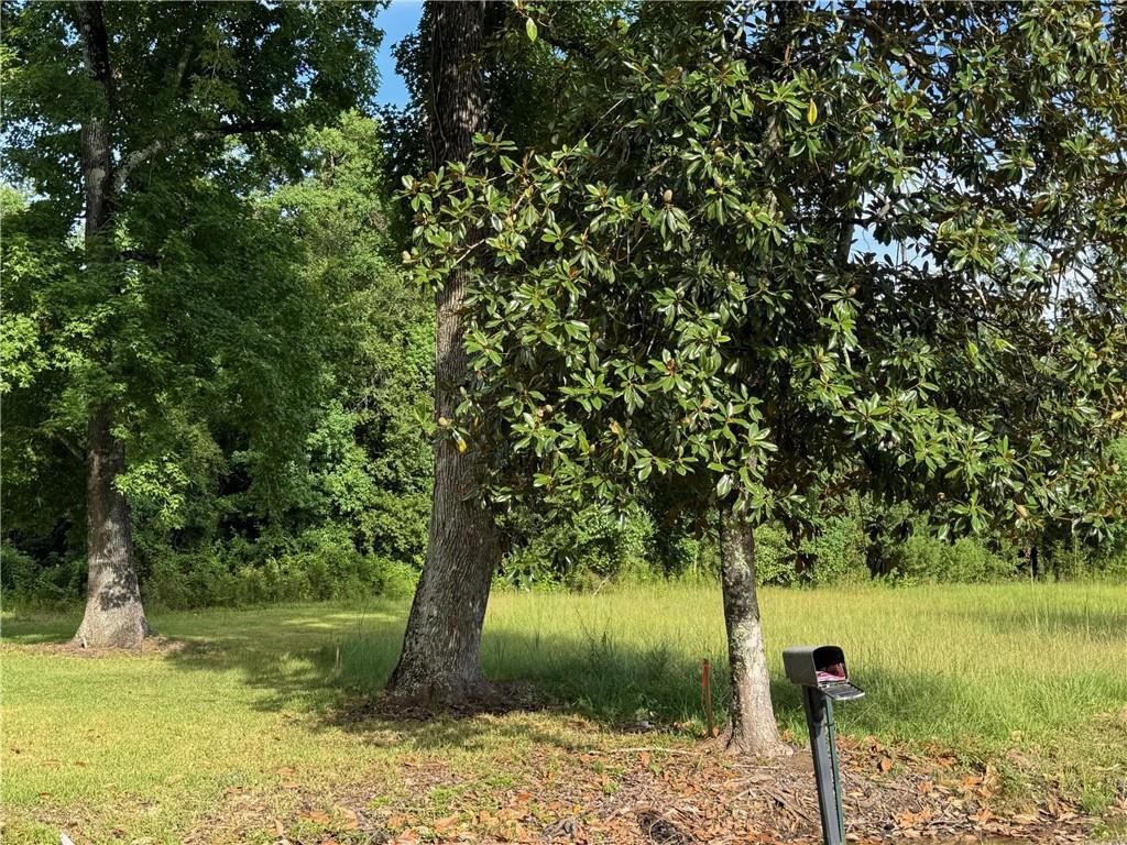 32882 LOWER ROME Road, Springfield, LA 70462