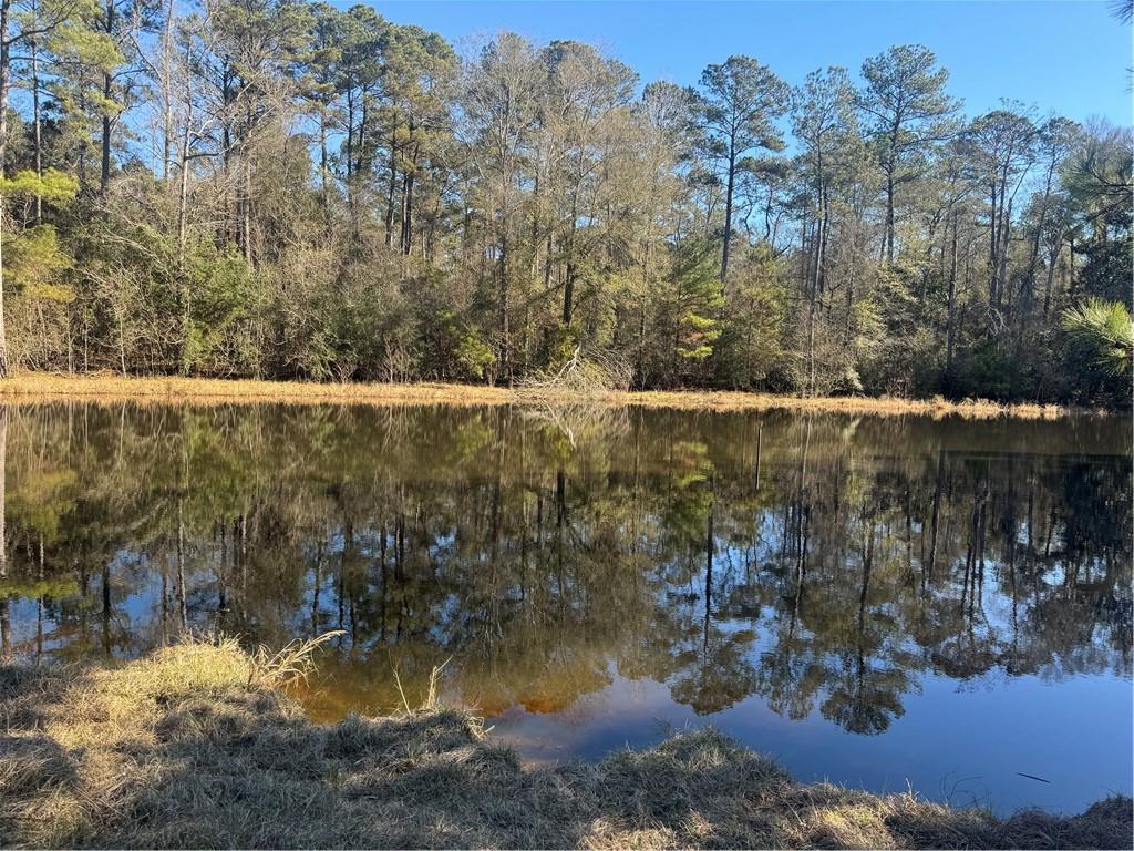 RHONER Road, Amite, LA 70422