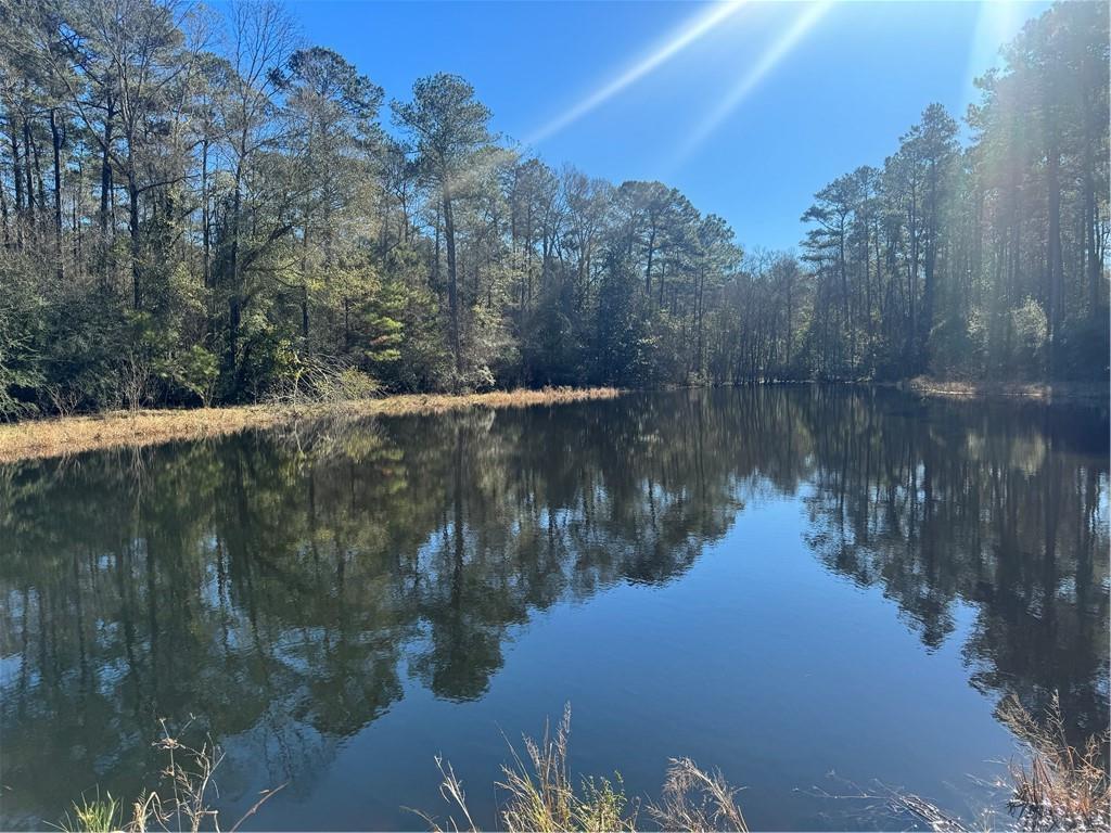 RHONER Road, Amite, LA 70422