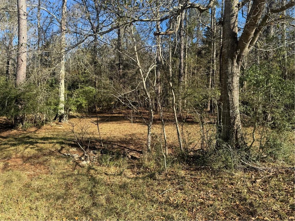 RHONER Road, Amite, LA 70422