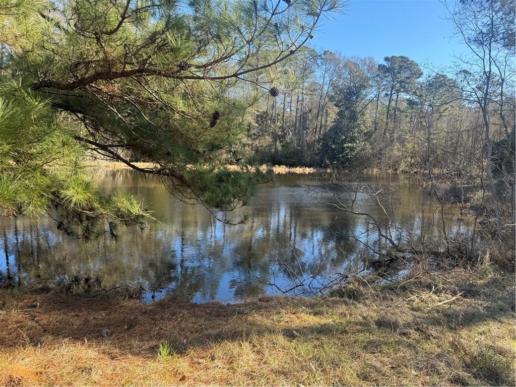 RHONER Road, Amite, LA 70422