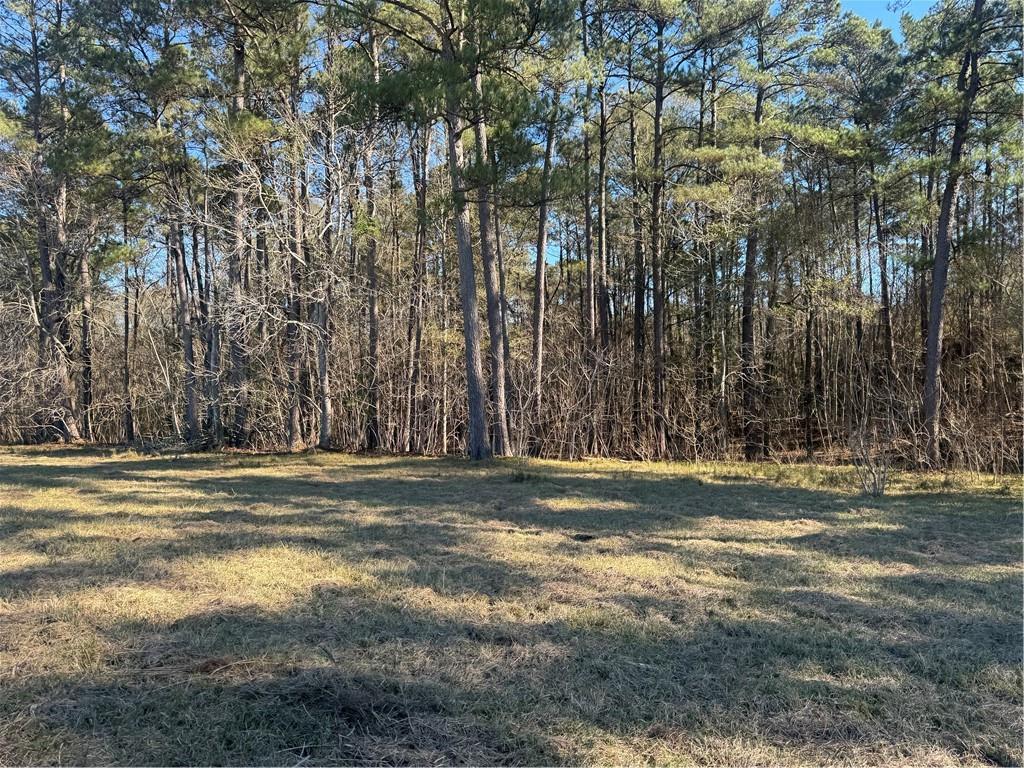 RHONER Road, Amite, LA 70422