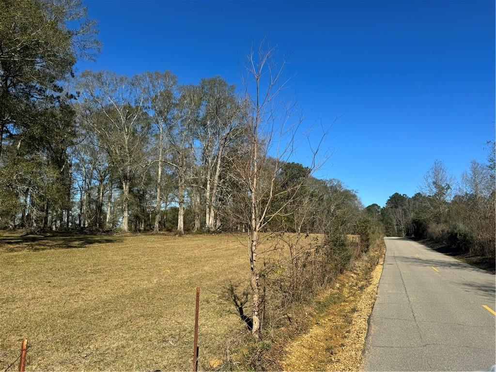 RHONER Road, Amite, LA 70422