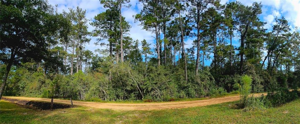 40253 NICOLE ELIZABETH Drive, Franklinton, LA 70438