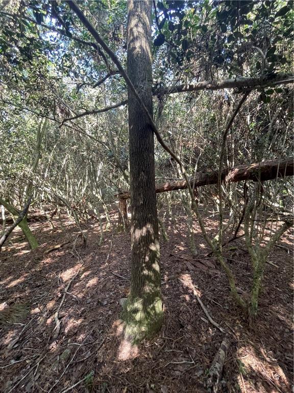 40253 NICOLE ELIZABETH Drive, Franklinton, LA 70438