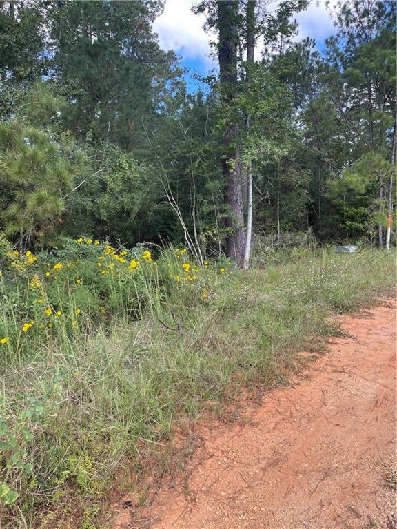 40253 NICOLE ELIZABETH Drive, Franklinton, LA 70438