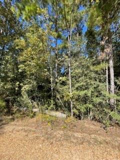 40253 NICOLE ELIZABETH Drive, Franklinton, LA 70438