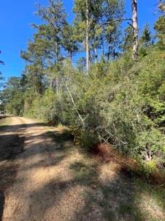 40253 NICOLE ELIZABETH Drive, Franklinton, LA 70438