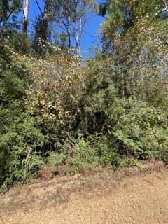 40253 NICOLE ELIZABETH Drive, Franklinton, LA 70438