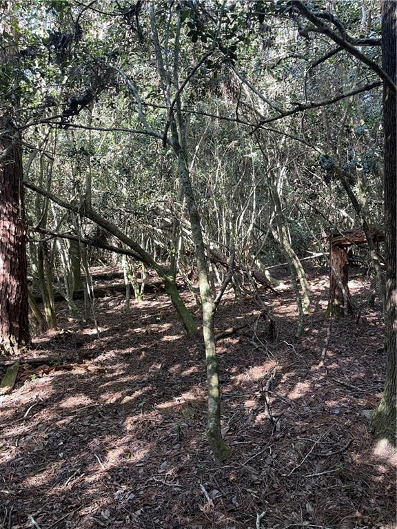 40253 NICOLE ELIZABETH Drive, Franklinton, LA 70438