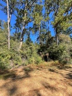 40253 NICOLE ELIZABETH Drive, Franklinton, LA 70438