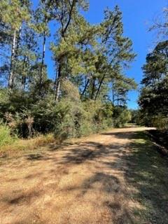 40253 NICOLE ELIZABETH Drive, Franklinton, LA 70438