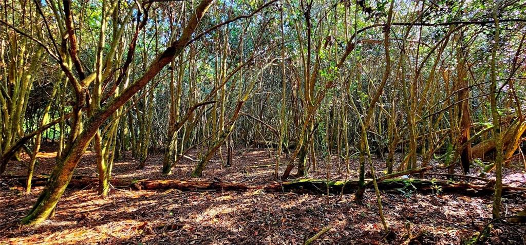 40253 NICOLE ELIZABETH Drive, Franklinton, LA 70438