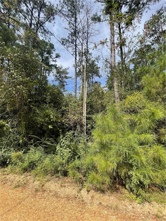 40253 NICOLE ELIZABETH Drive, Franklinton, LA 70438