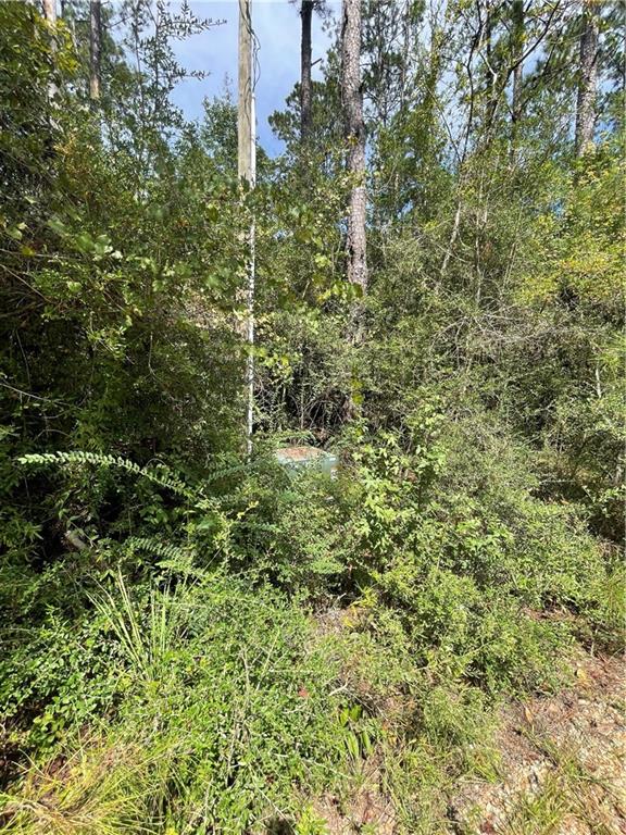 40253 NICOLE ELIZABETH Drive, Franklinton, LA 70438