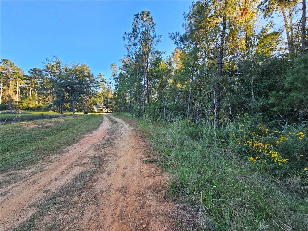 40253 NICOLE ELIZABETH Drive, Franklinton, LA 70438