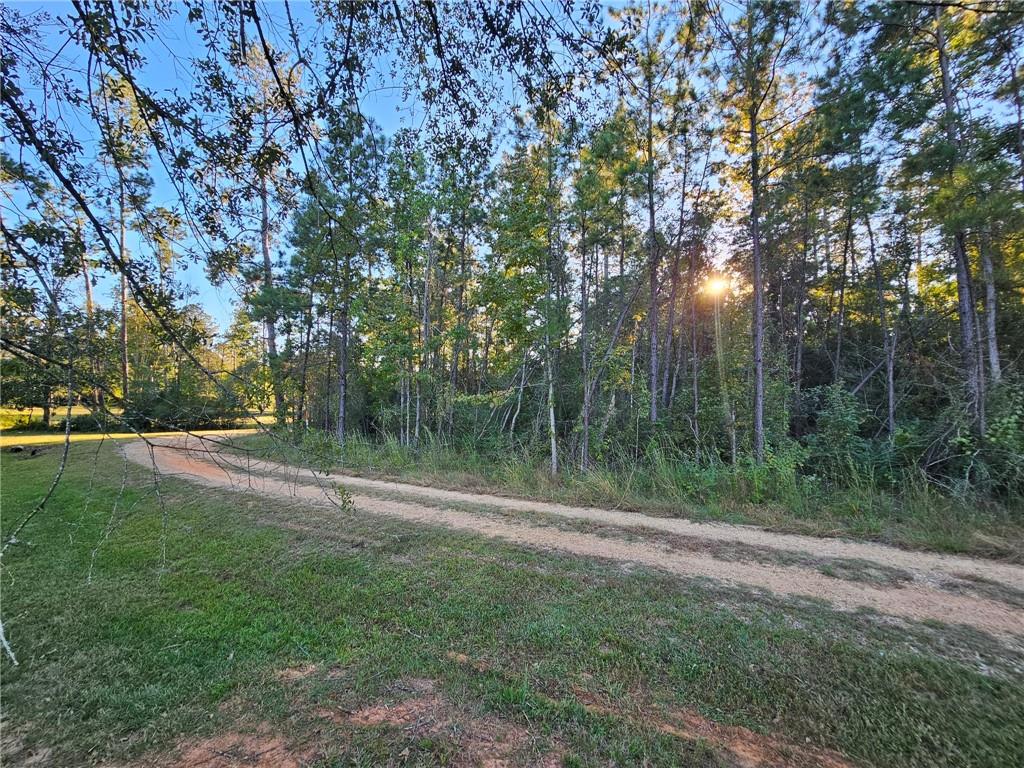 40253 NICOLE ELIZABETH Drive, Franklinton, LA 70438