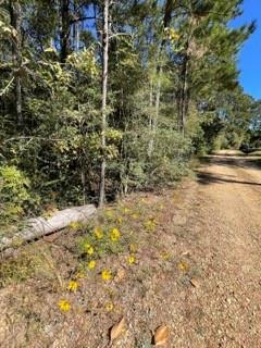 40253 NICOLE ELIZABETH Drive, Franklinton, LA 70438