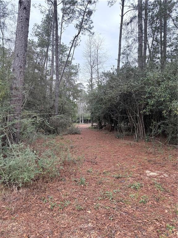 40253 NICOLE ELIZABETH Drive, Franklinton, LA 70438