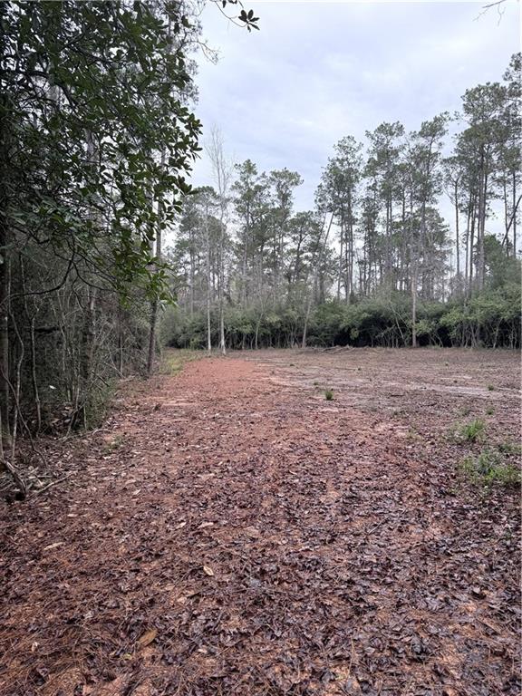 40253 NICOLE ELIZABETH Drive, Franklinton, LA 70438