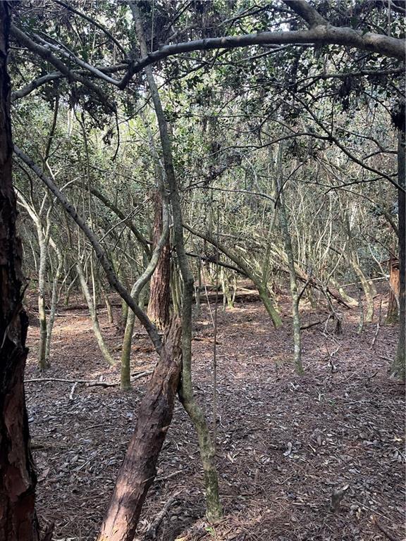 40253 NICOLE ELIZABETH Drive, Franklinton, LA 70438