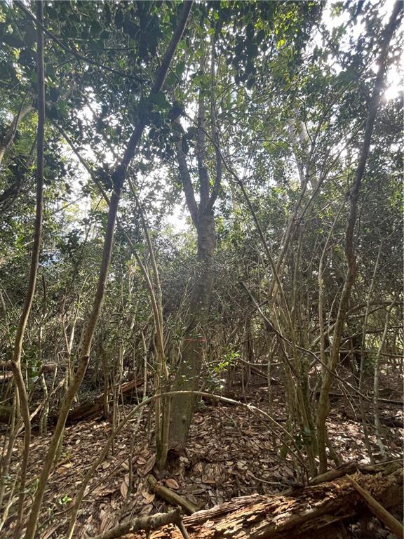 40253 NICOLE ELIZABETH Drive, Franklinton, LA 70438