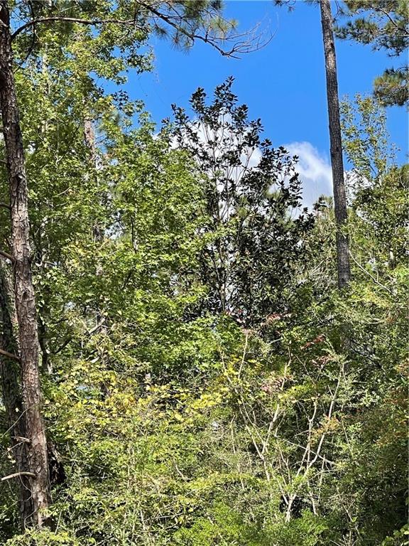 40253 NICOLE ELIZABETH Drive, Franklinton, LA 70438