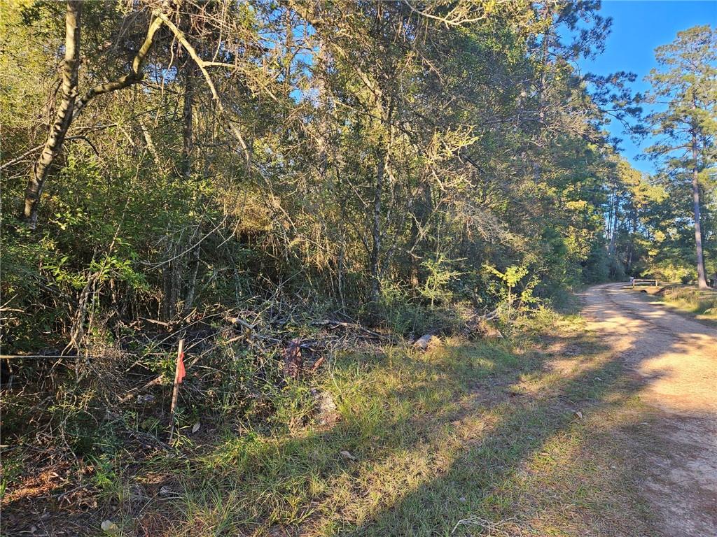 40253 NICOLE ELIZABETH Drive, Franklinton, LA 70438